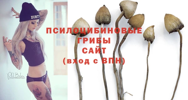 герыч Новодвинск