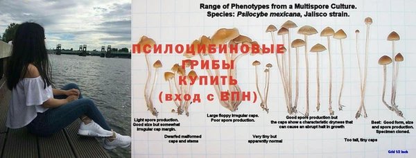 дурь Новозыбков
