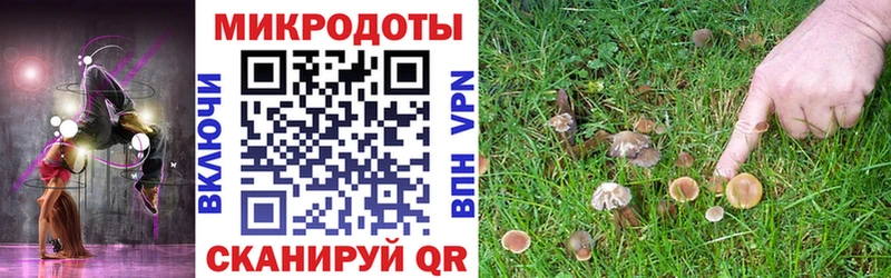 Псилоцибиновые грибы Psilocybe  что такое наркотик  Пыталово 